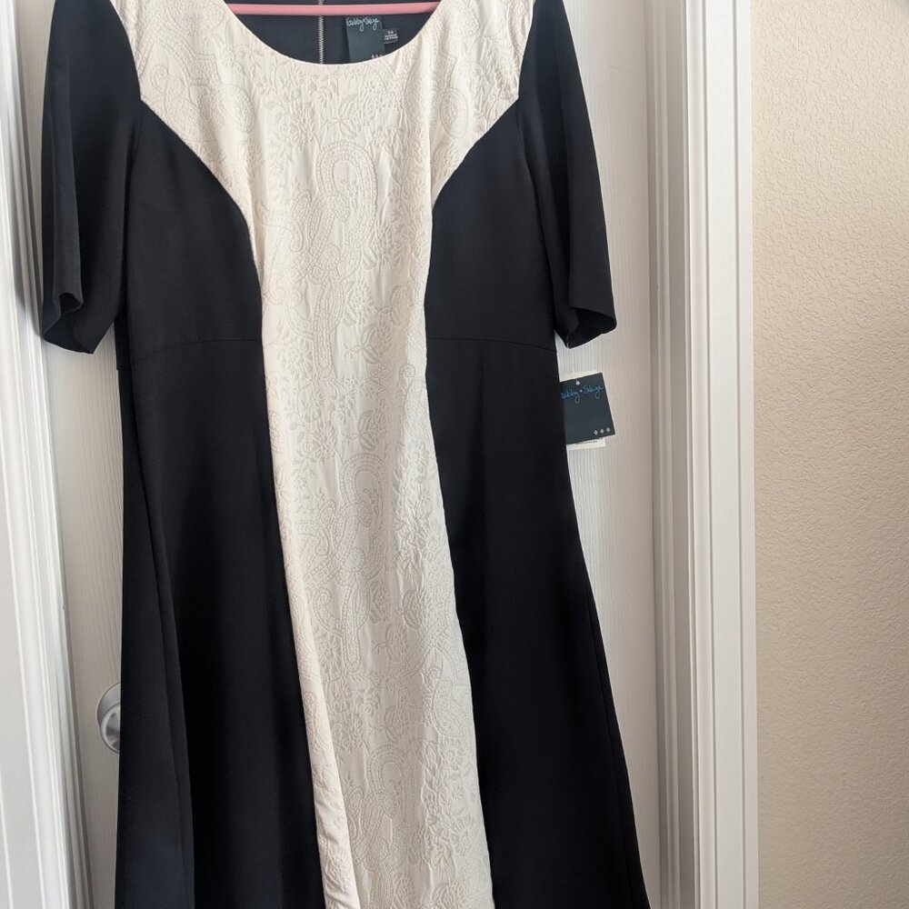 Gabby Skye Women's Dress-NWT